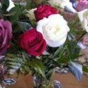 Meet your Posher, Tamara